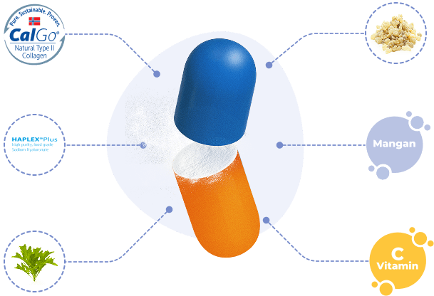 Ilustrácia Movisan Kolagen II – podpora kĺbov, chrupaviek a kostí