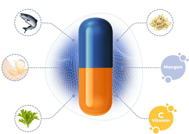 Ilustrace Movisan Kolagen II – podpora kloubů, chrupavek a kostí
