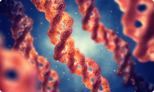 Ilustračný obrázok ľudskej DNA